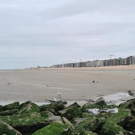 On Sea With Stunning Views Апартаменты