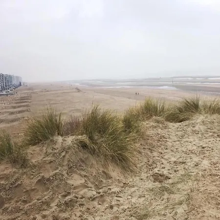 On Sea With Stunning Views * Коксейде
