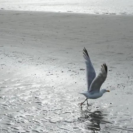 On Sea With Stunning Views *